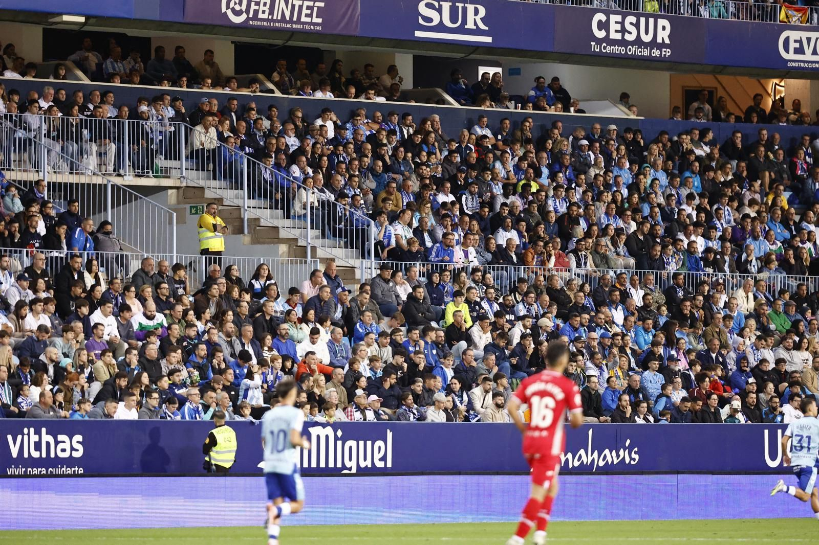 Búscate en las gradas de La Rosaleda en el Málaga CF-Córdoba