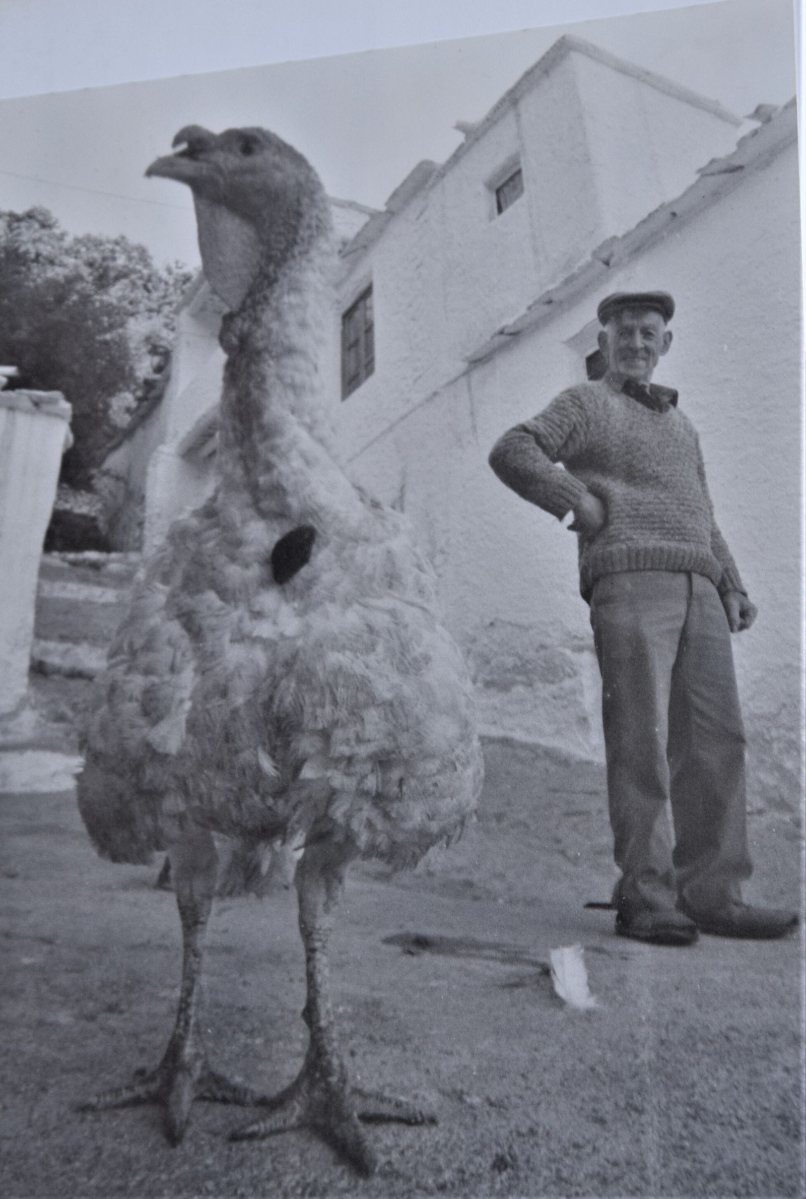Luis y su pavo en Pampaneira