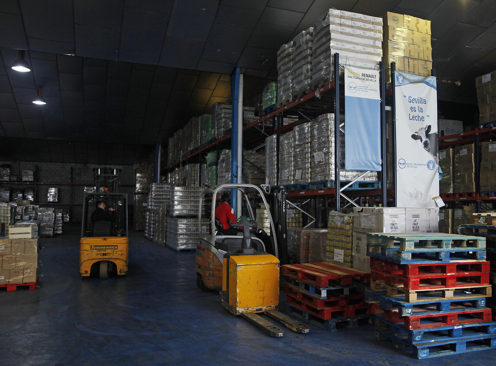 Banco de alimentos continúa su importante labor. Coronavirus