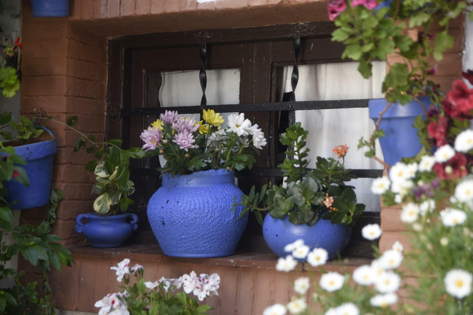 En imágenes: la ruta de los Patios del Alcázar Viejo