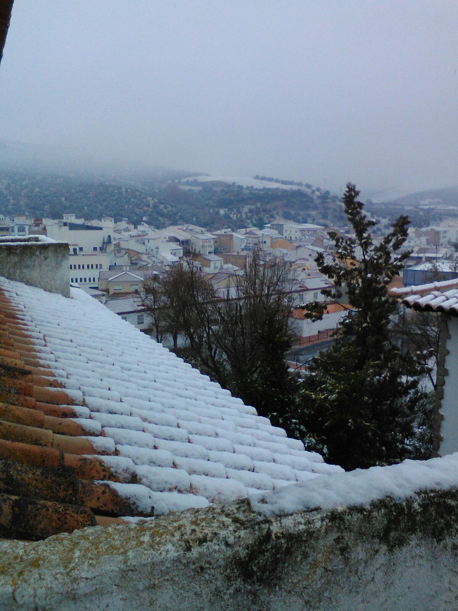 Tejados nevados en Algámitas.