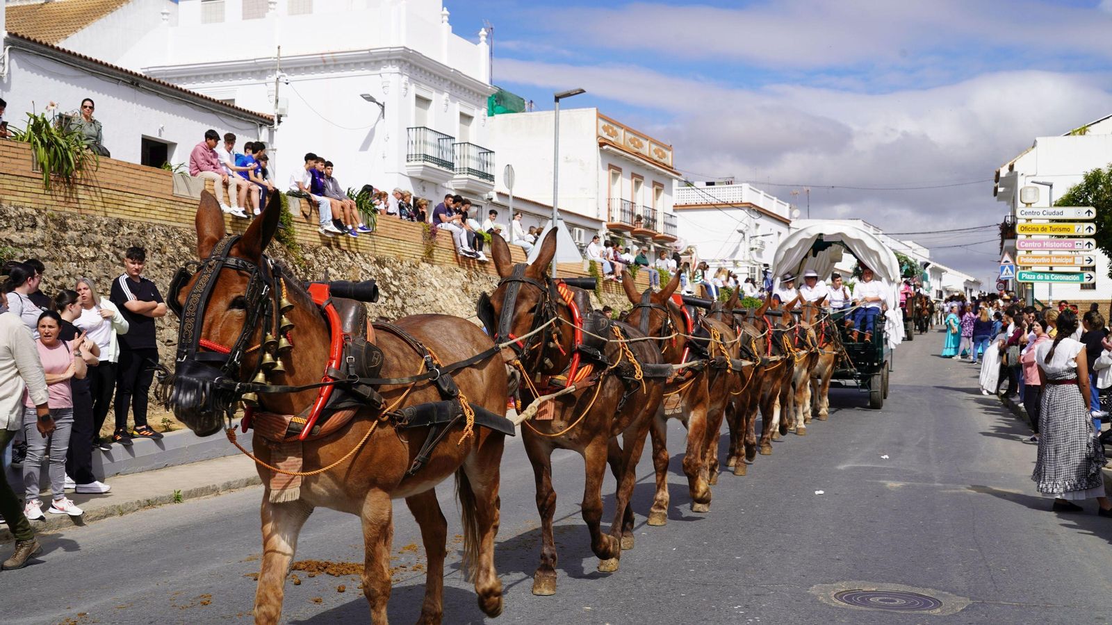 Uno de los carros de la comitiva moguereña hacia El Rocío. Uno de los carros de la comitiva moguereña hacia El Rocío.