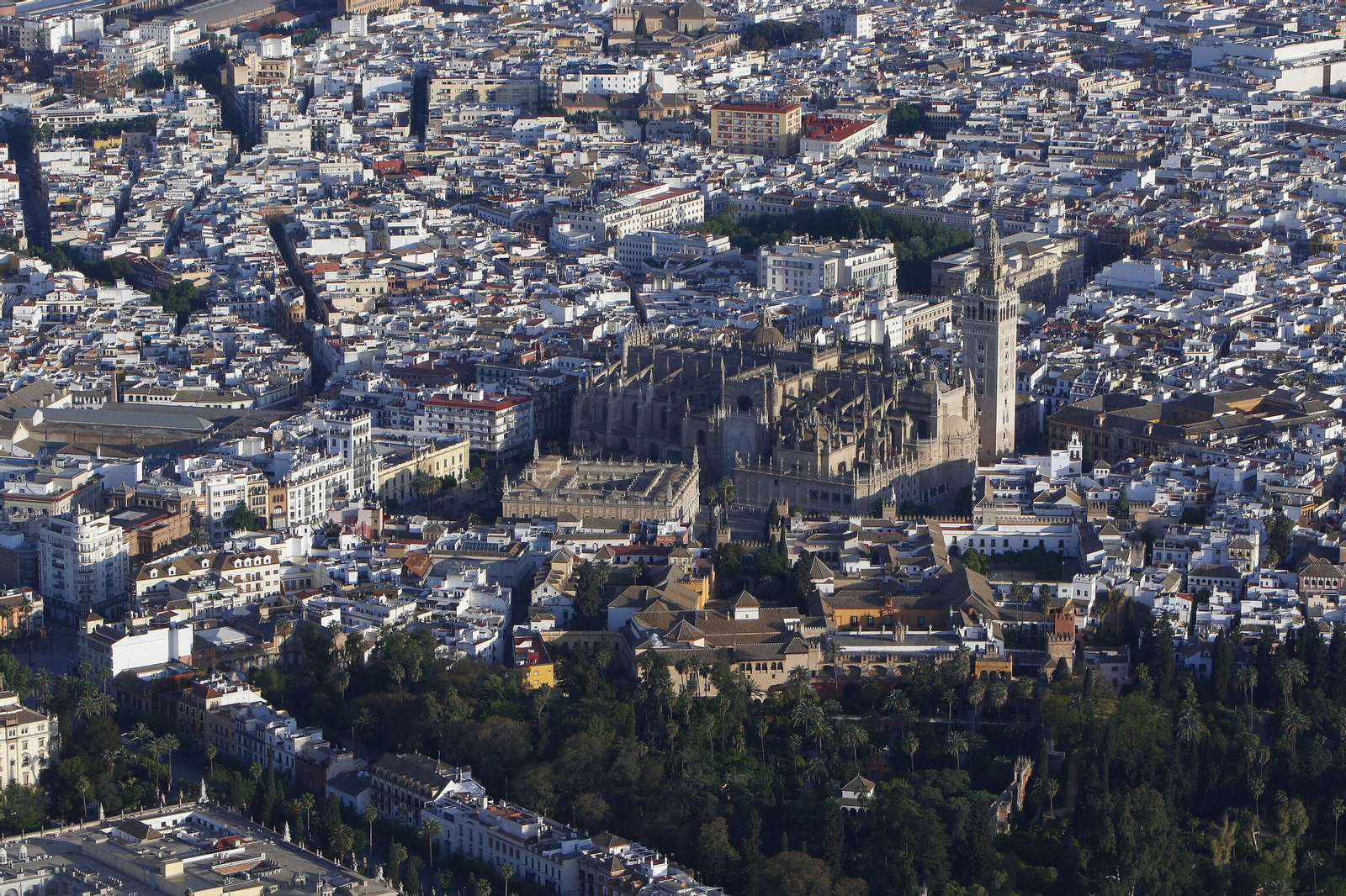 La Catedral y su entorno conforman uno de los espacios patrimoniales más importantes de Sevilla.