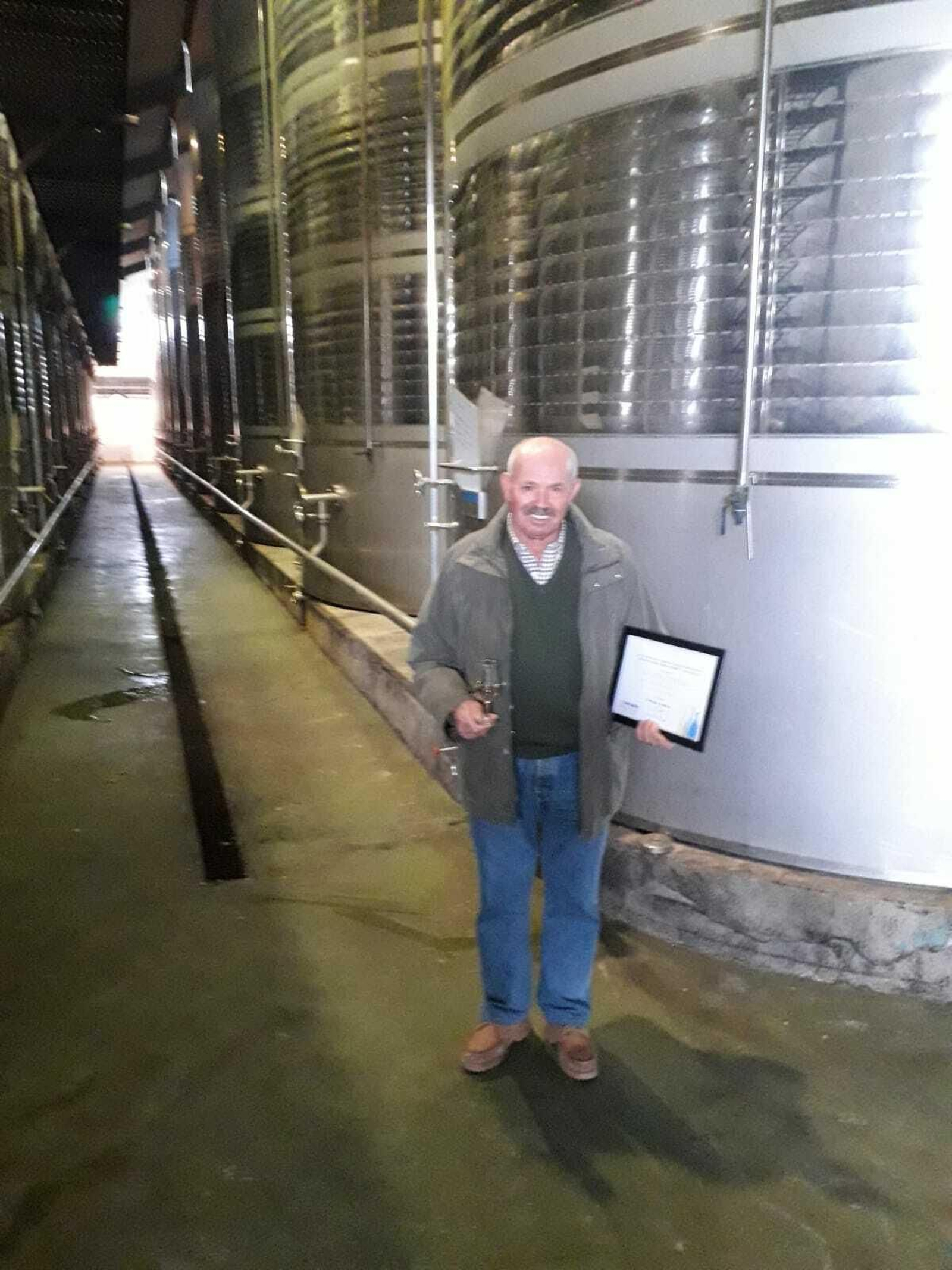 Los seis mejores mostos del Marco de Jerez