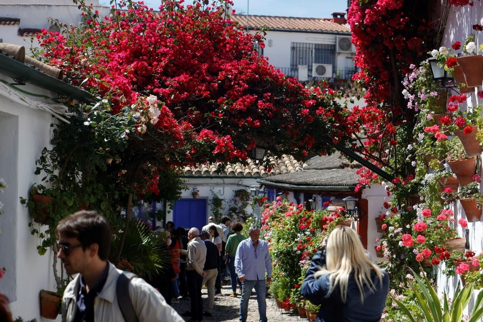 Las mejores imágenes del primer día de Patios en Córdoba
