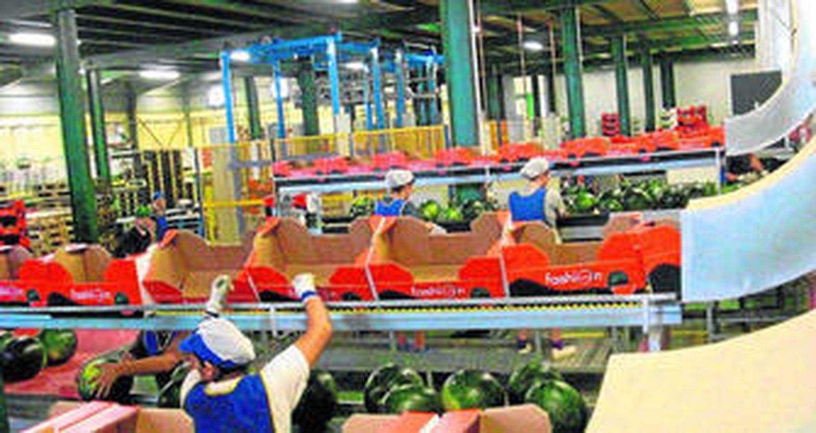 Centro de manipulación y envasado de Agrícola Navarro de Haro, productora y comercializadora fundada en 1998.