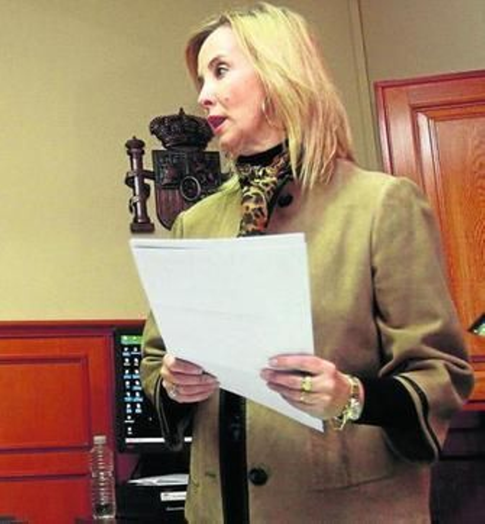 La fiscal provincial, Ana Tárrago, informó ayer de los resultados, que determinarán el archivo delas denuncias.