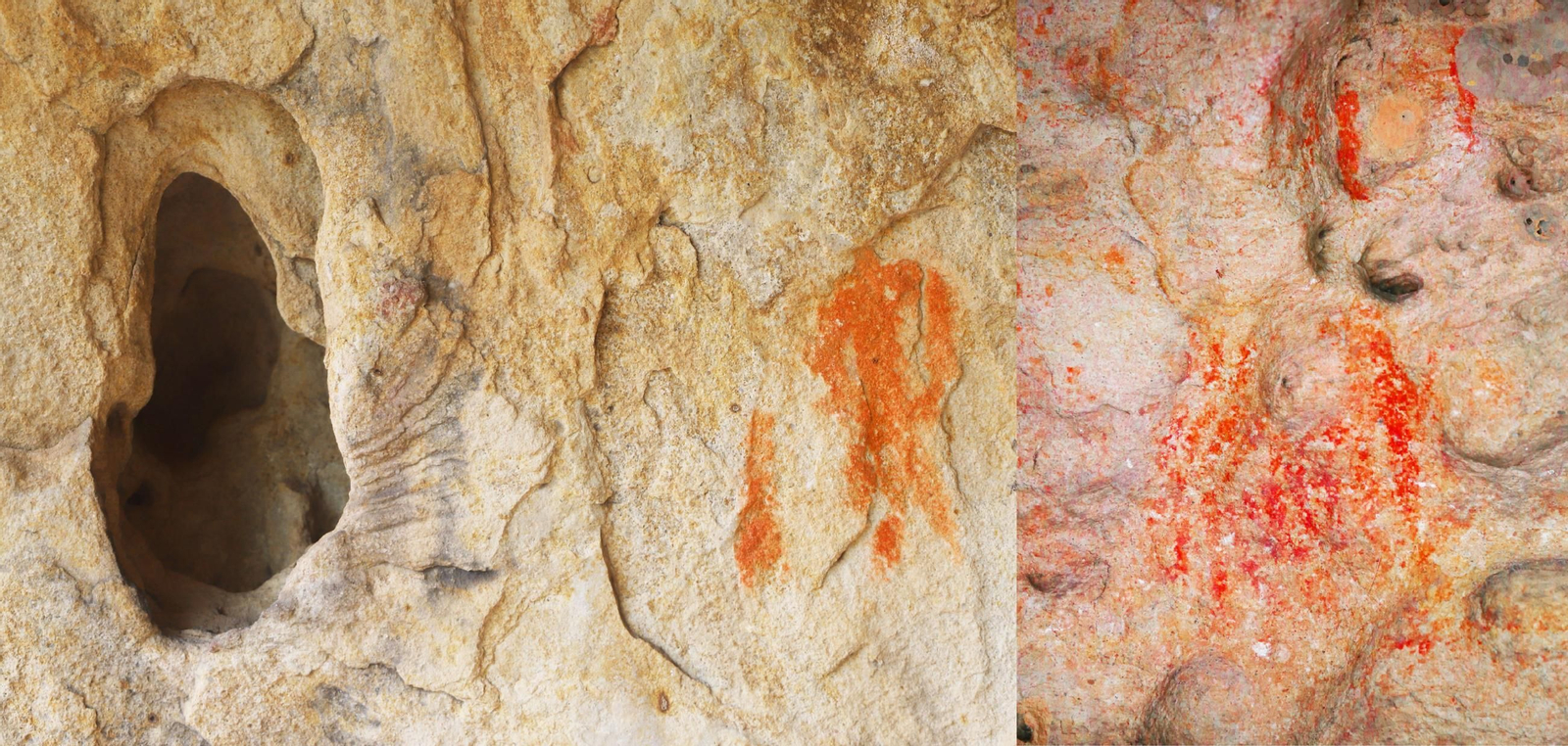 Abrigos del Peregrino y Los Cardos