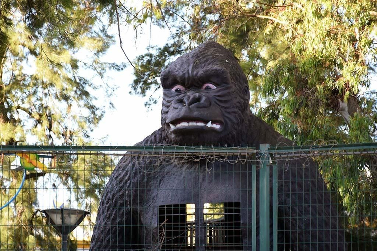 Imágenes del viernes 3 de mayo en Huelva