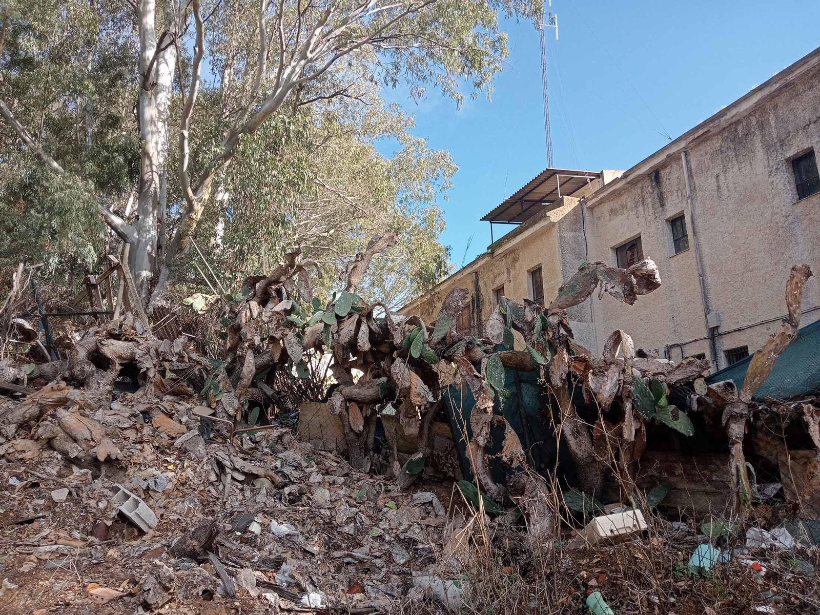 Barrio a Barrio: Imágenes de San Antonio