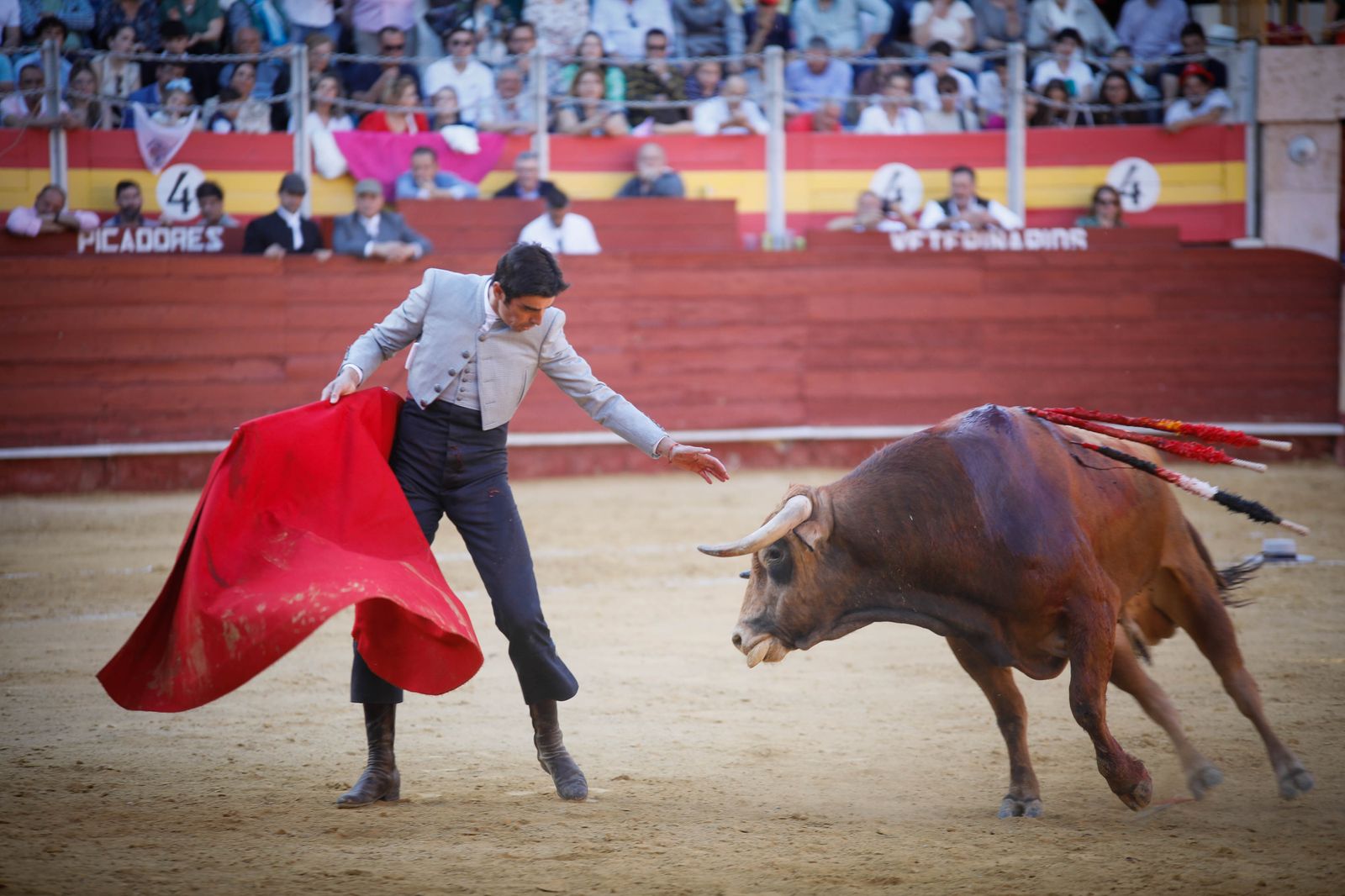 Imágenes del festival mixto lucha contra el cáncer
