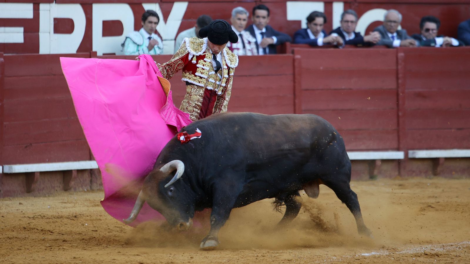 Última tarde de toros de la Feria de Jerez 2024 con Morante, Manzanares y Castella