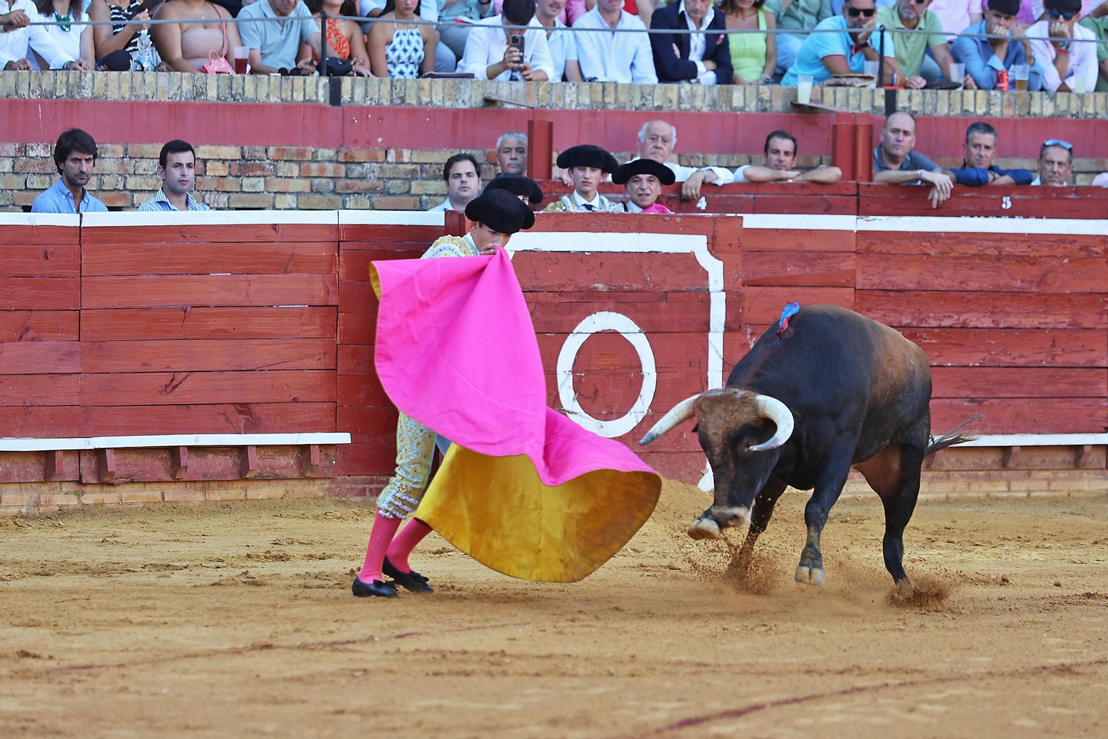 Toros La Merced 2024 Novillada con picadores(