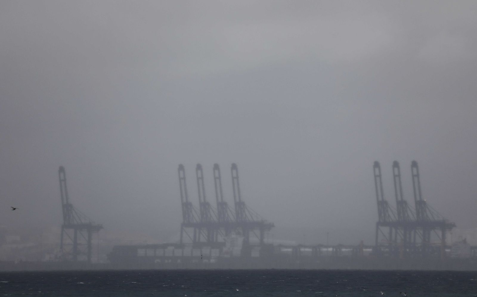 Fotos del temporal de lluvia y viento en el Campo de Gibraltar