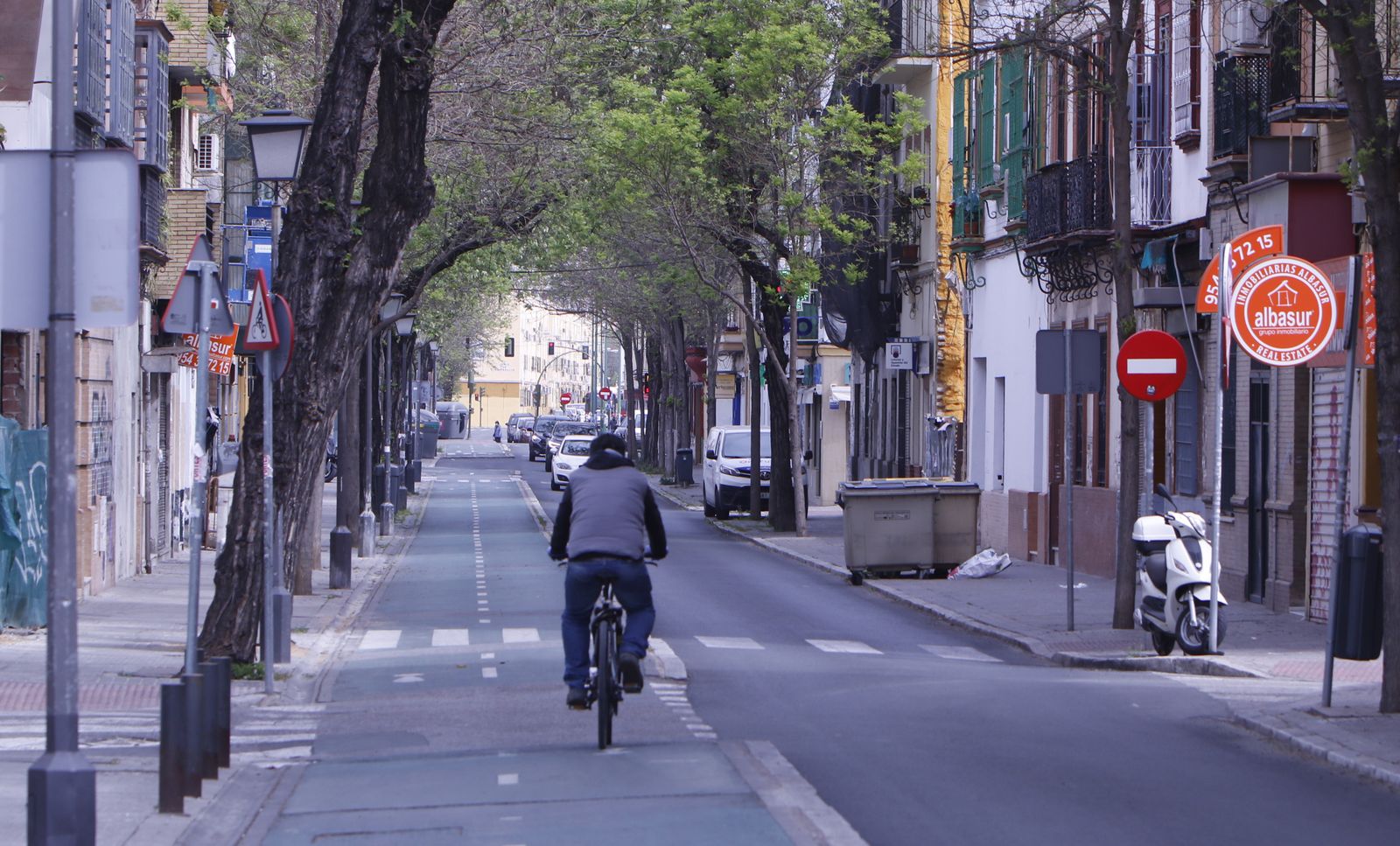 Un ciclista circula por el carril bici de la avenida de la Cruz Roja.