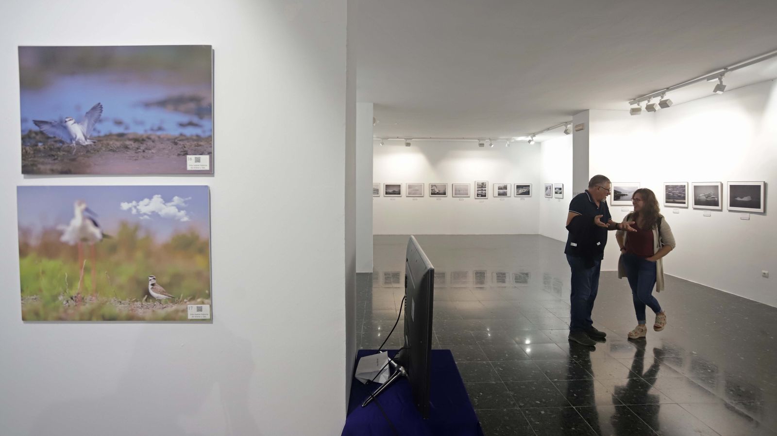 Fotos de las exposiciones de la Galería Manolo Ales en La Línea