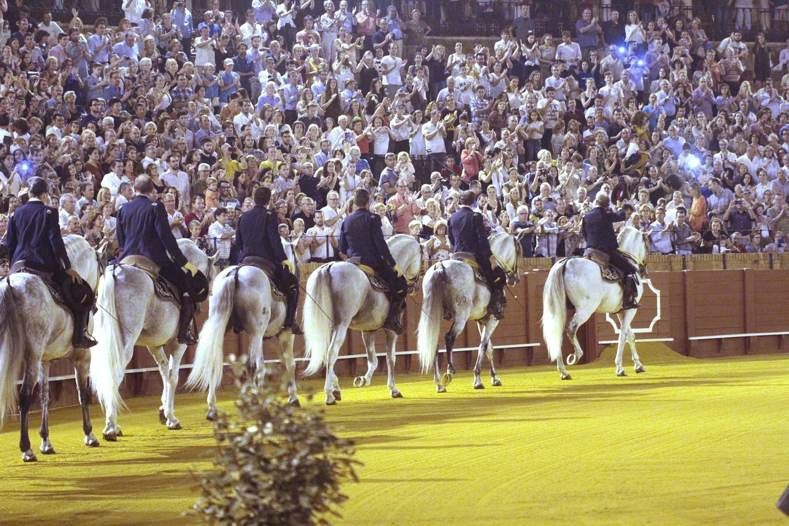 El espectáculo 'Cómo bailan los caballos andaluces', en imágenes