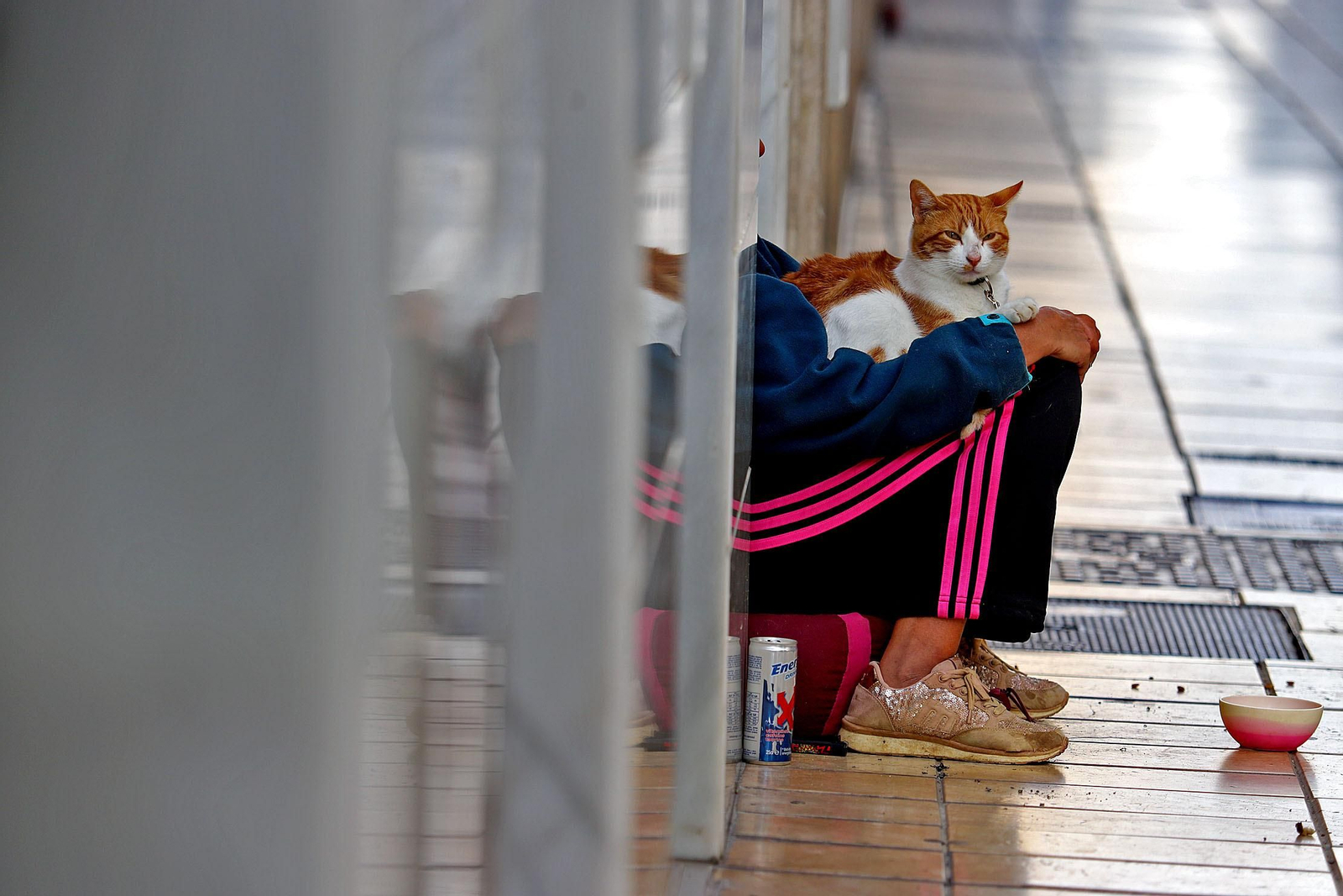 Las imágenes más destacadas del jueves 12 de noviembre en Huelva