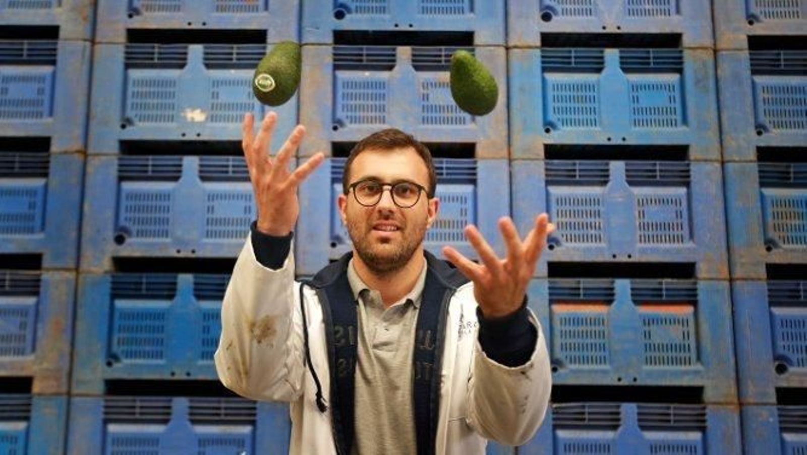 Juan de Dios Pérez lanza al aire varios aguacates producidos en el Tesorillo.