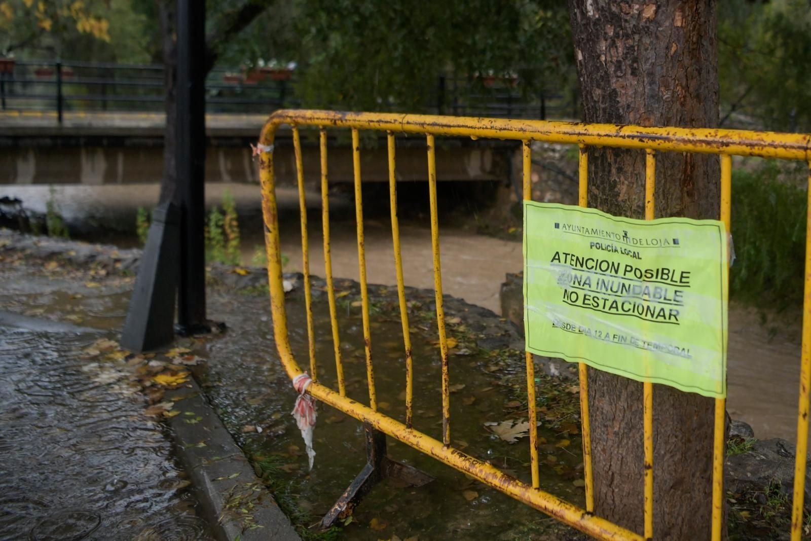 Galería | Todas las imágenes de la DANA que azota Granada este miércoles
