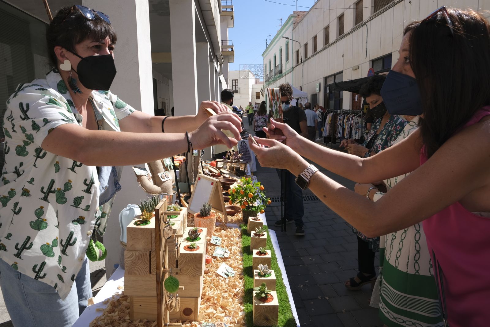 Fotogalería Día de la Naranja en Gádor.