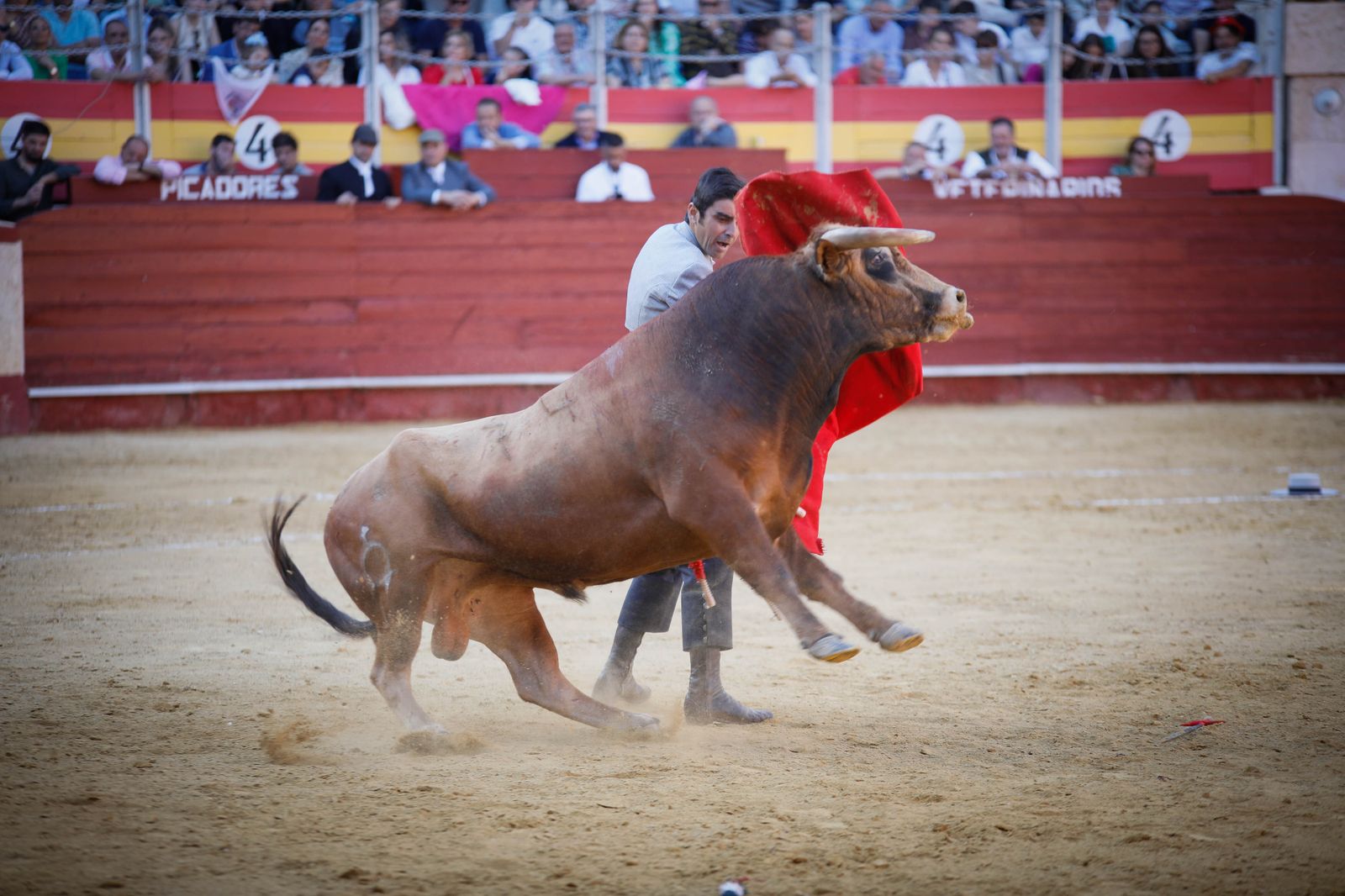 Imágenes del festival mixto lucha contra el cáncer