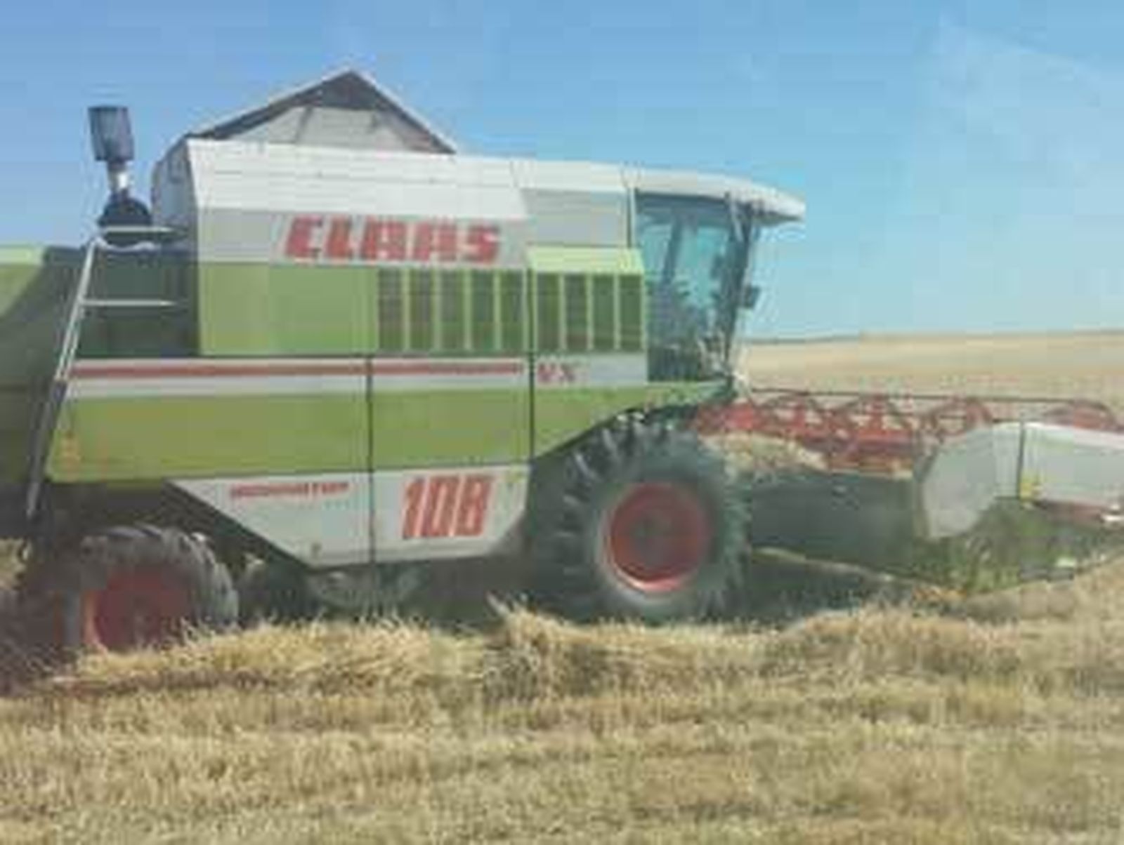 La baja calidad del trigo duro augura una guerra de precios