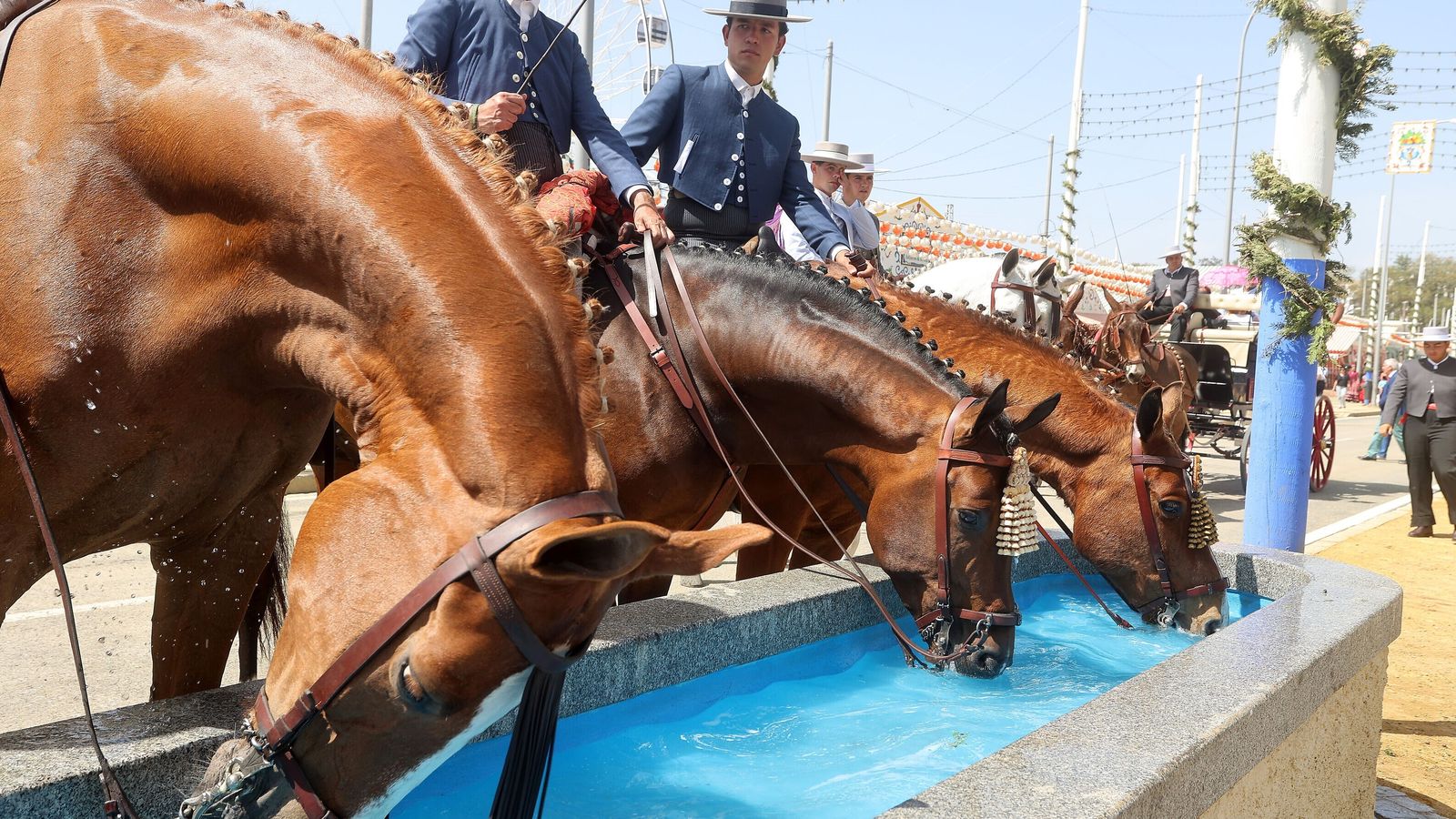 Caballos refrescándose en uno de los abrevaderos de la Feria.