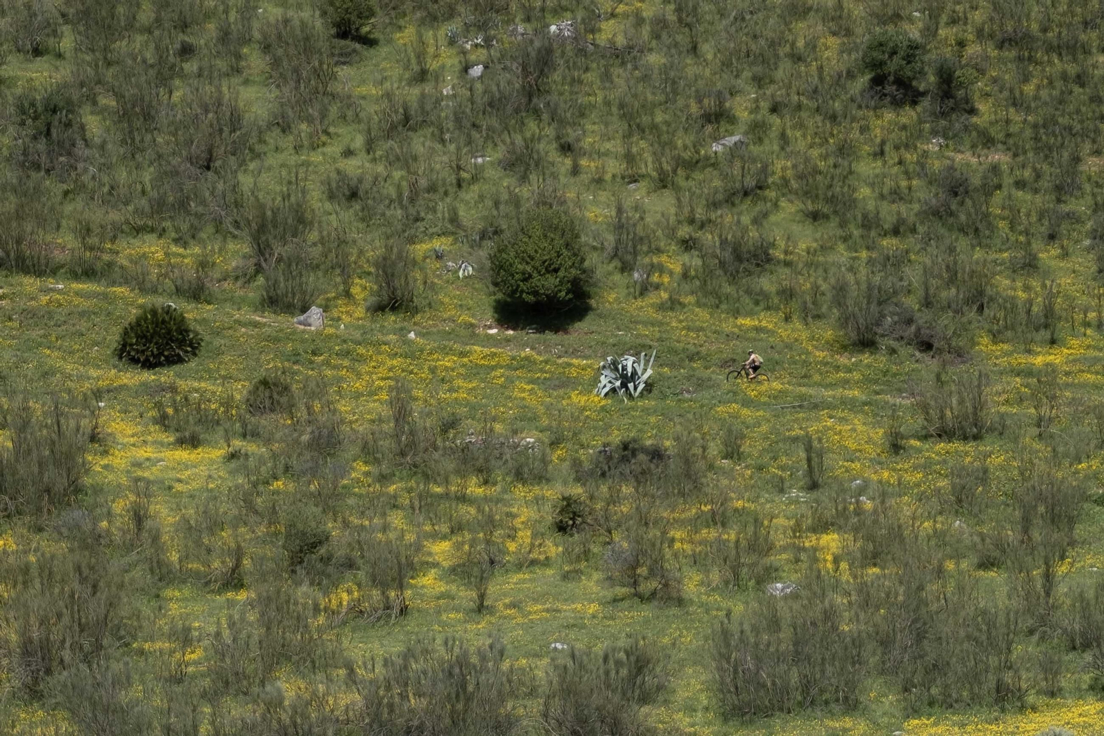 Primavera en la Serranía de Ronda, en imágenes.