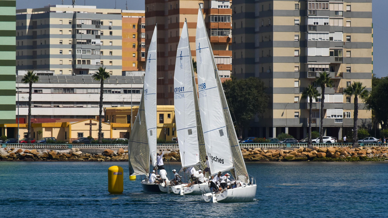 Las fotos de la Regata de vela J80 en La Línea