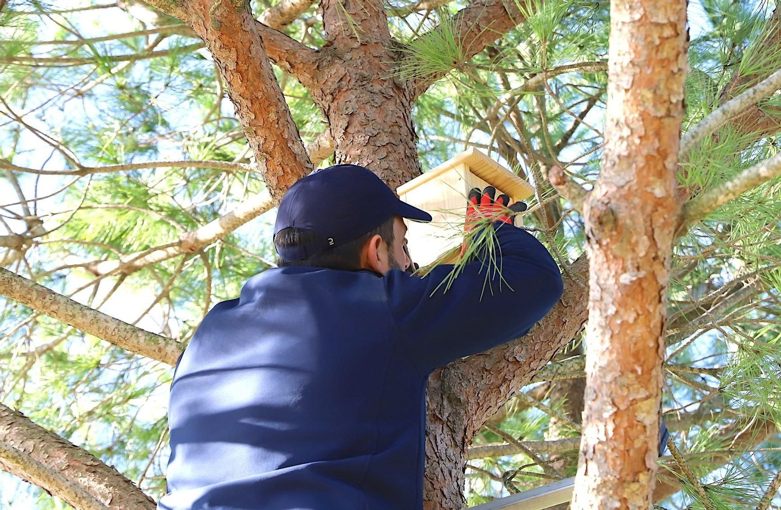 Una de las cajas nido para aves insectívoras instalada en el parque de la Laguna de Torrox