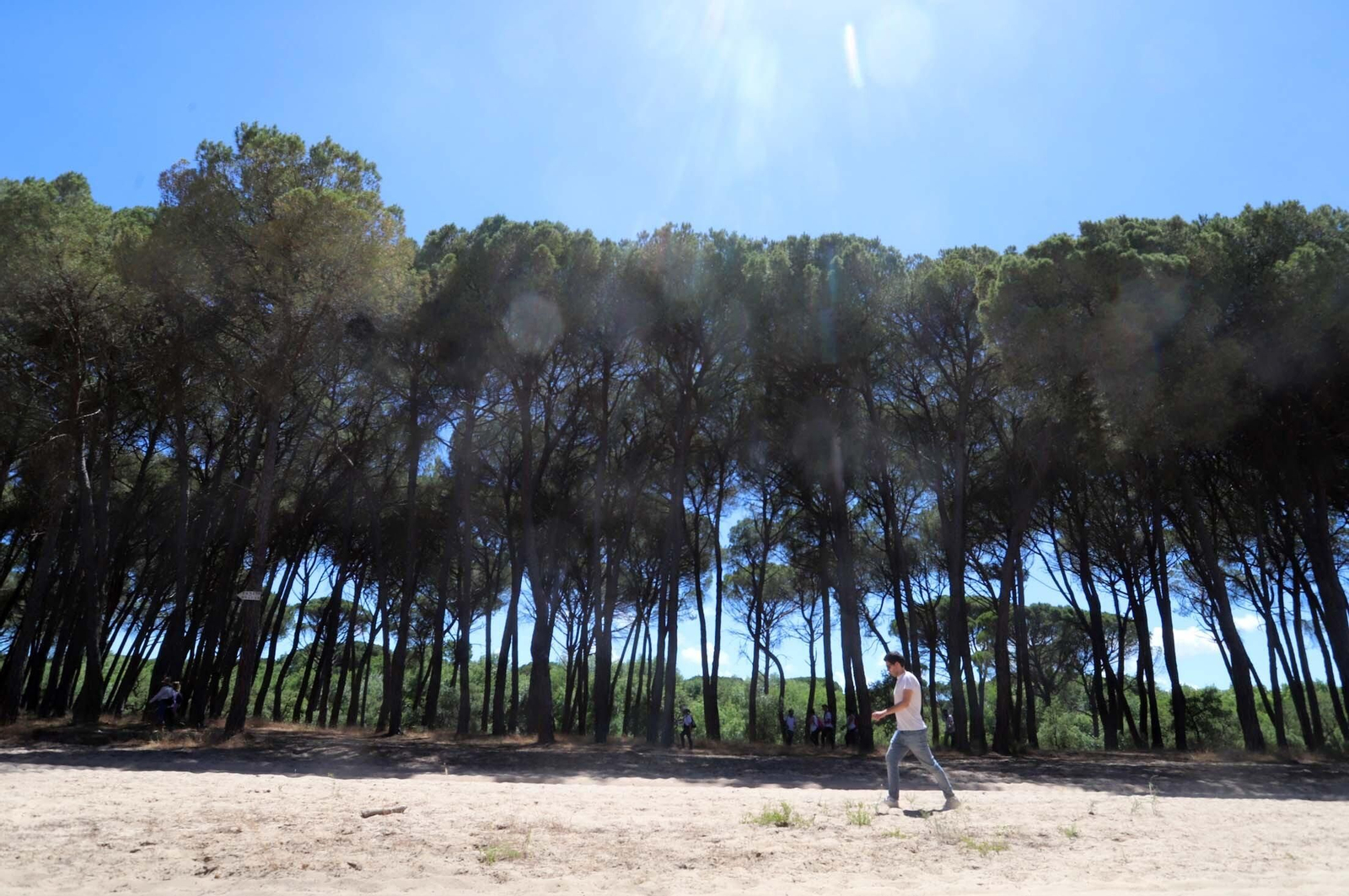 El camino de la Hermandad de Huelva por las arenas hacia El Rocío, en imágenes