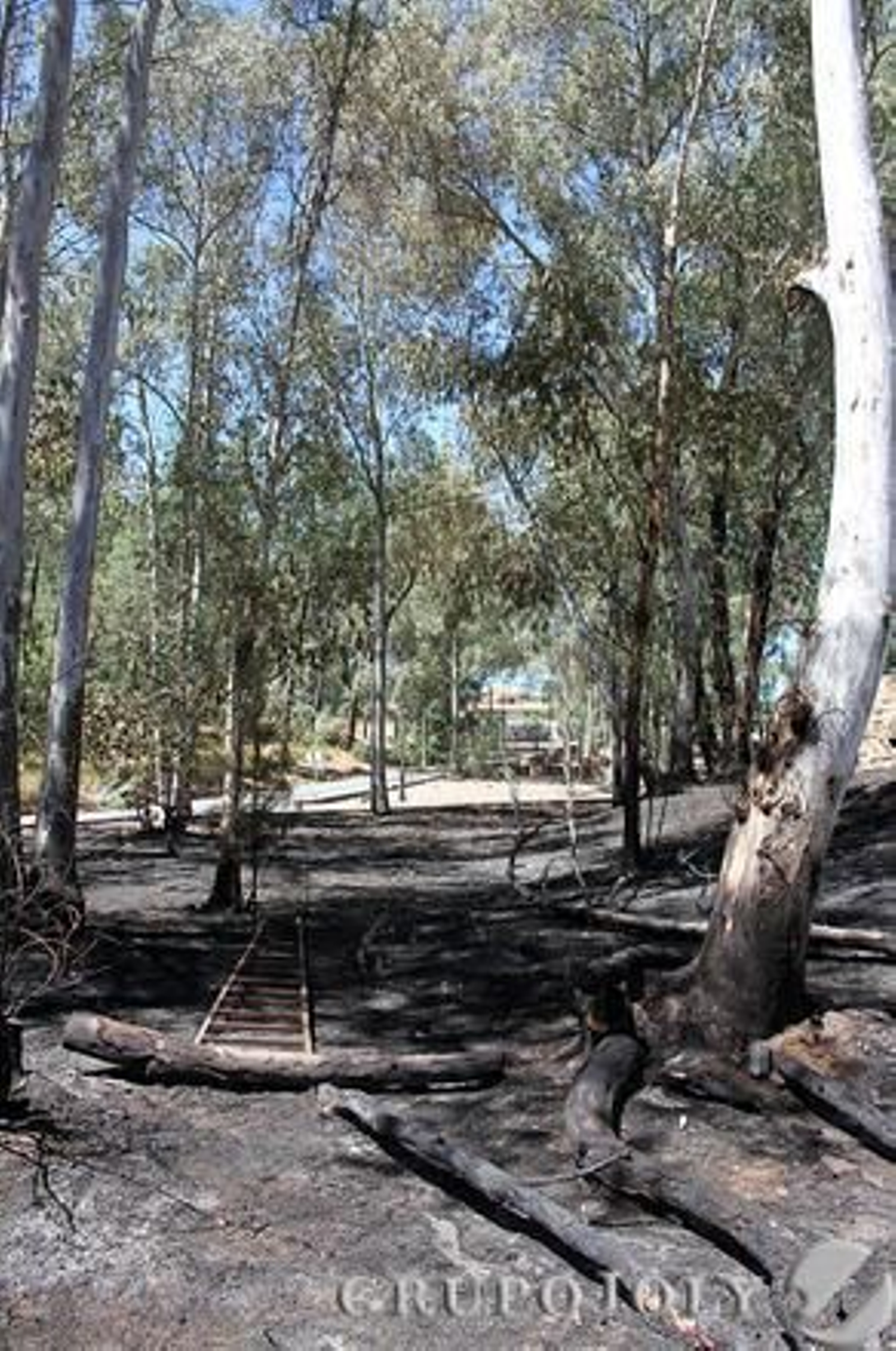 Foto: Alberto Domínguez