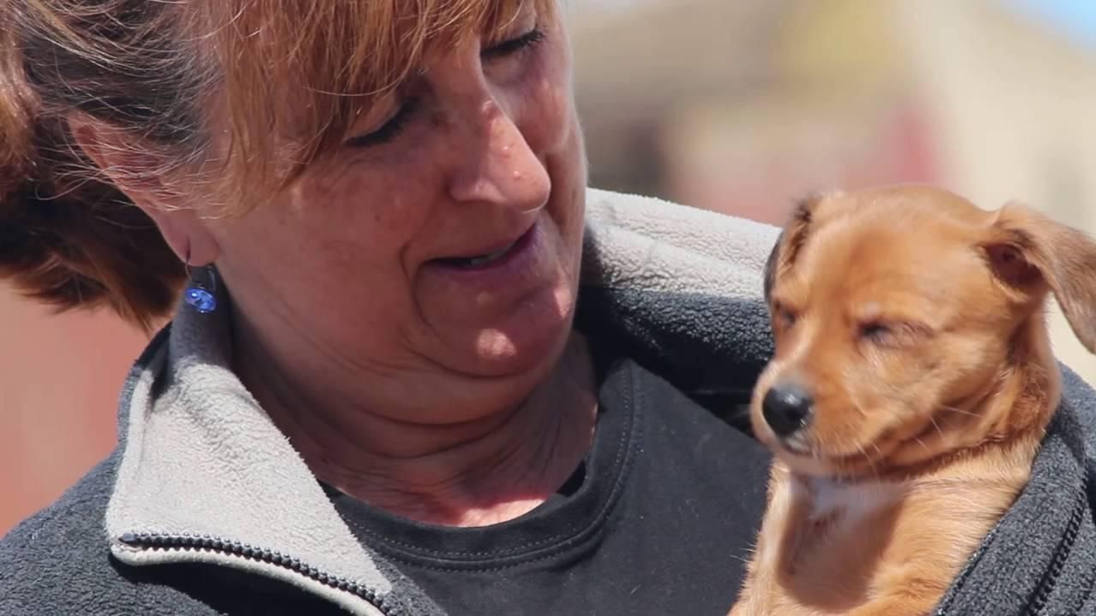 Una mujer sostiene un perro abandonado.
