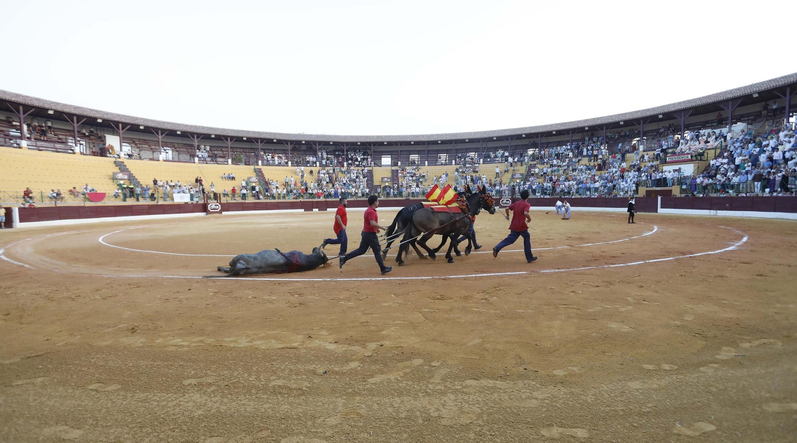 La reaparición de Borja Jiménez con toros de Victorino Martín en la Feria de La Línea , en imágenes