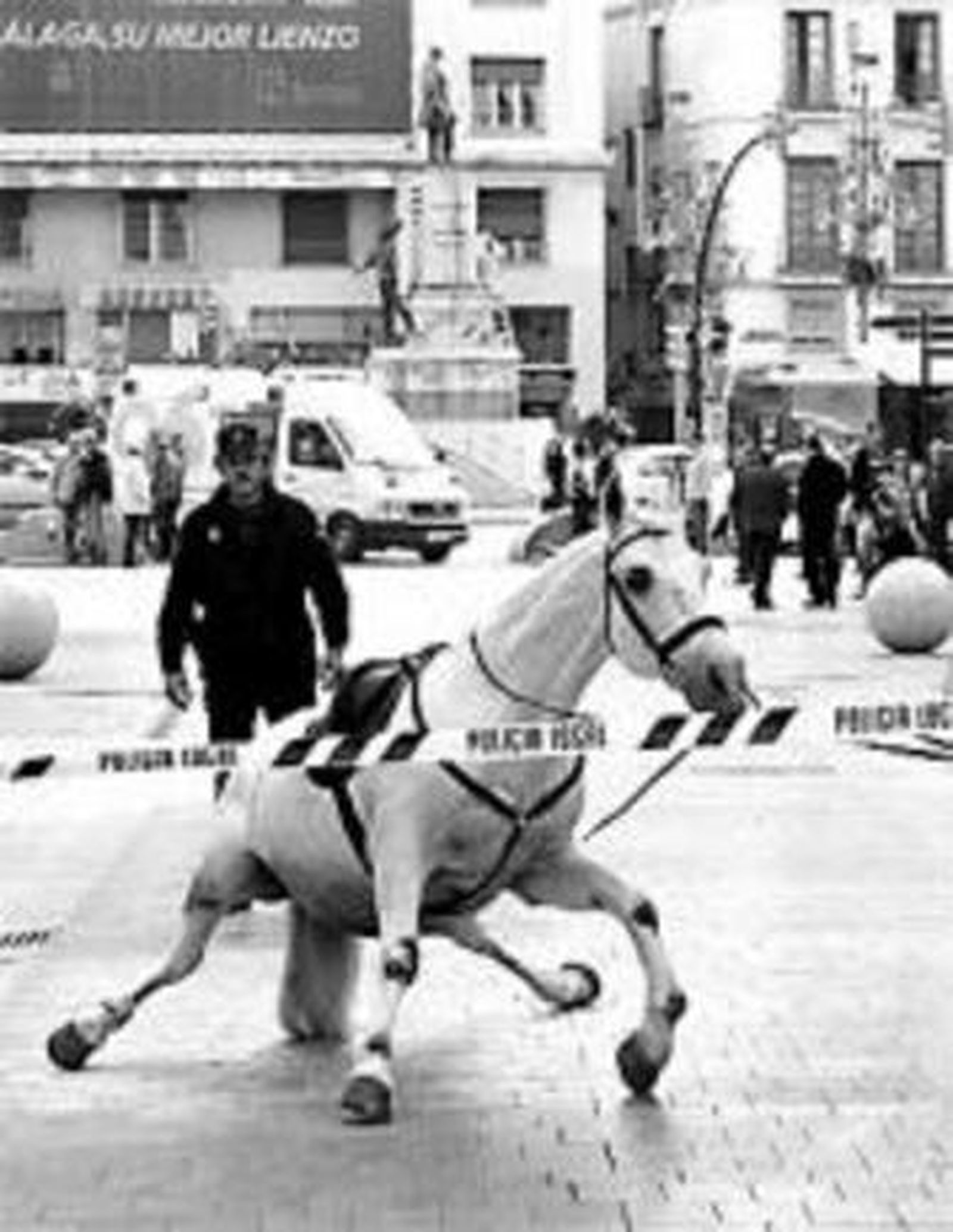 Secuencia fotográfica del momento en el que un equino de la Unidad de Caballería de la Policía Nacional pisó ayer el pavimento de Larios lleno de cera.