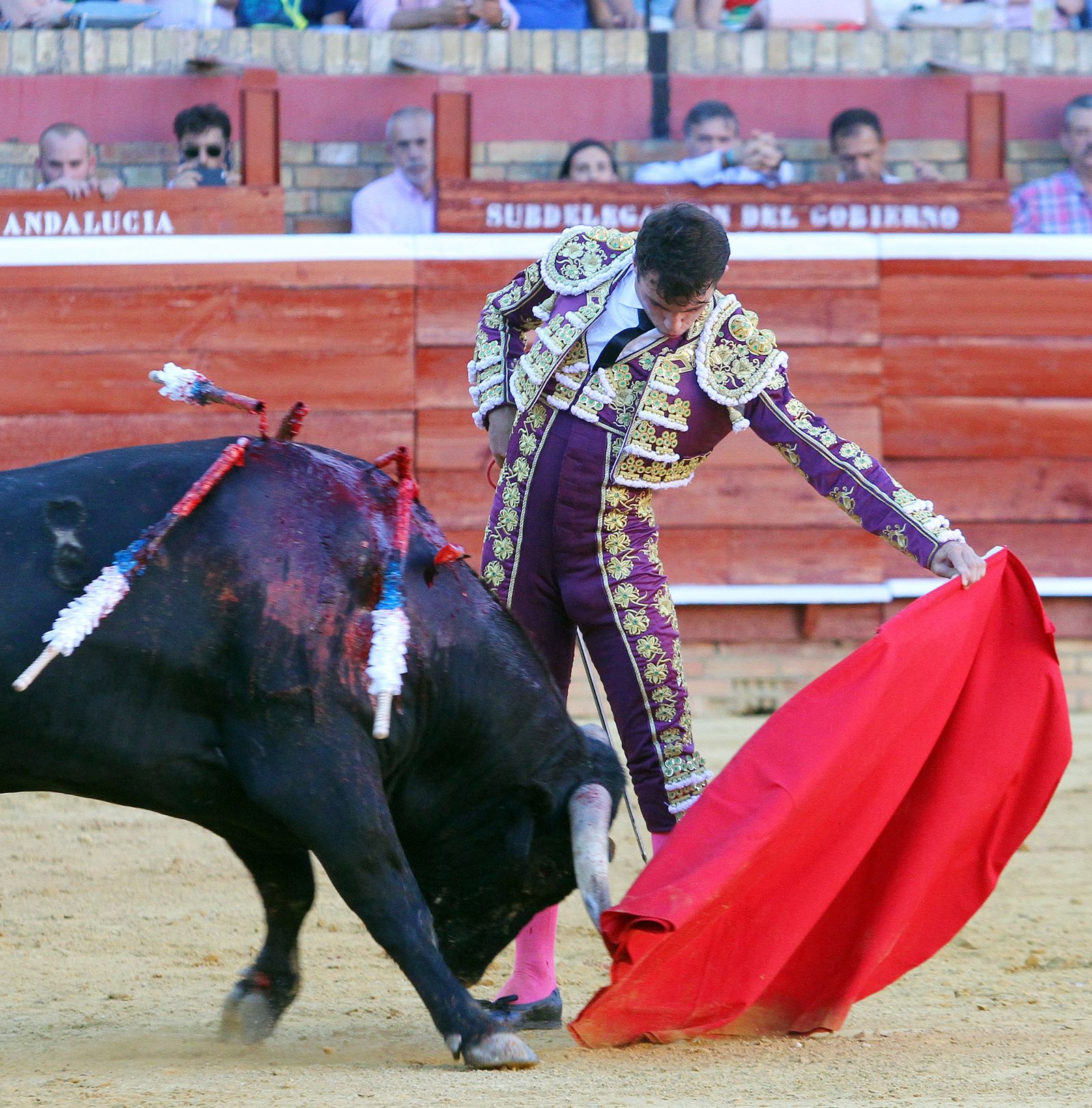 Imágenes de la Novillada de Rafael Serna, Emilio Silvera y Rodrigo Molina.