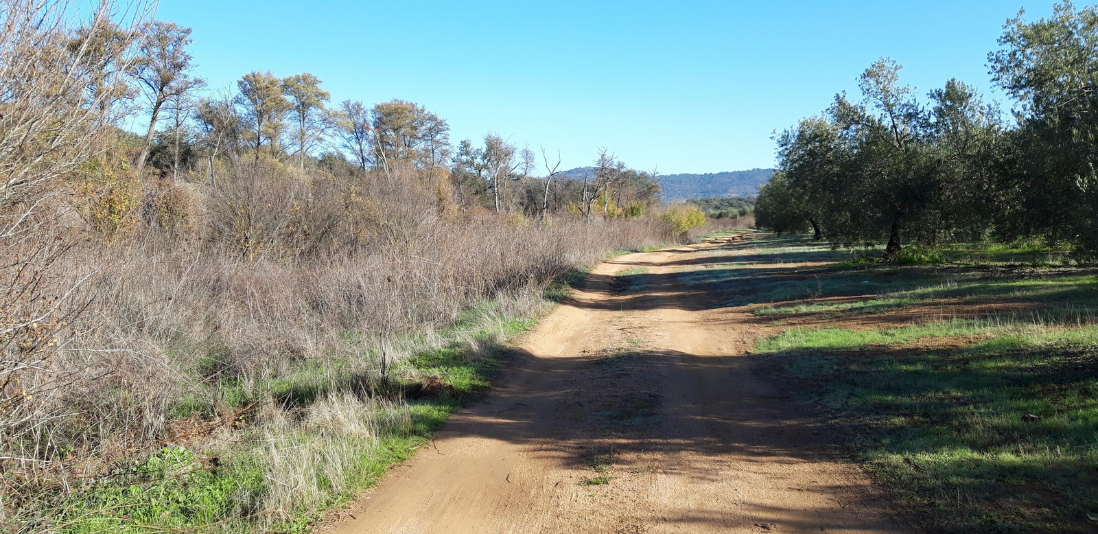 Las fotos de las ruta del Arroyo de las Cañas