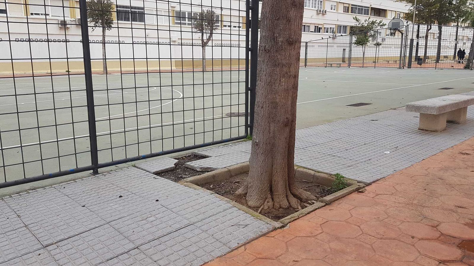 Pavimento y un alcorque deteriorados junto a la pista deportiva de Vilarrubí.