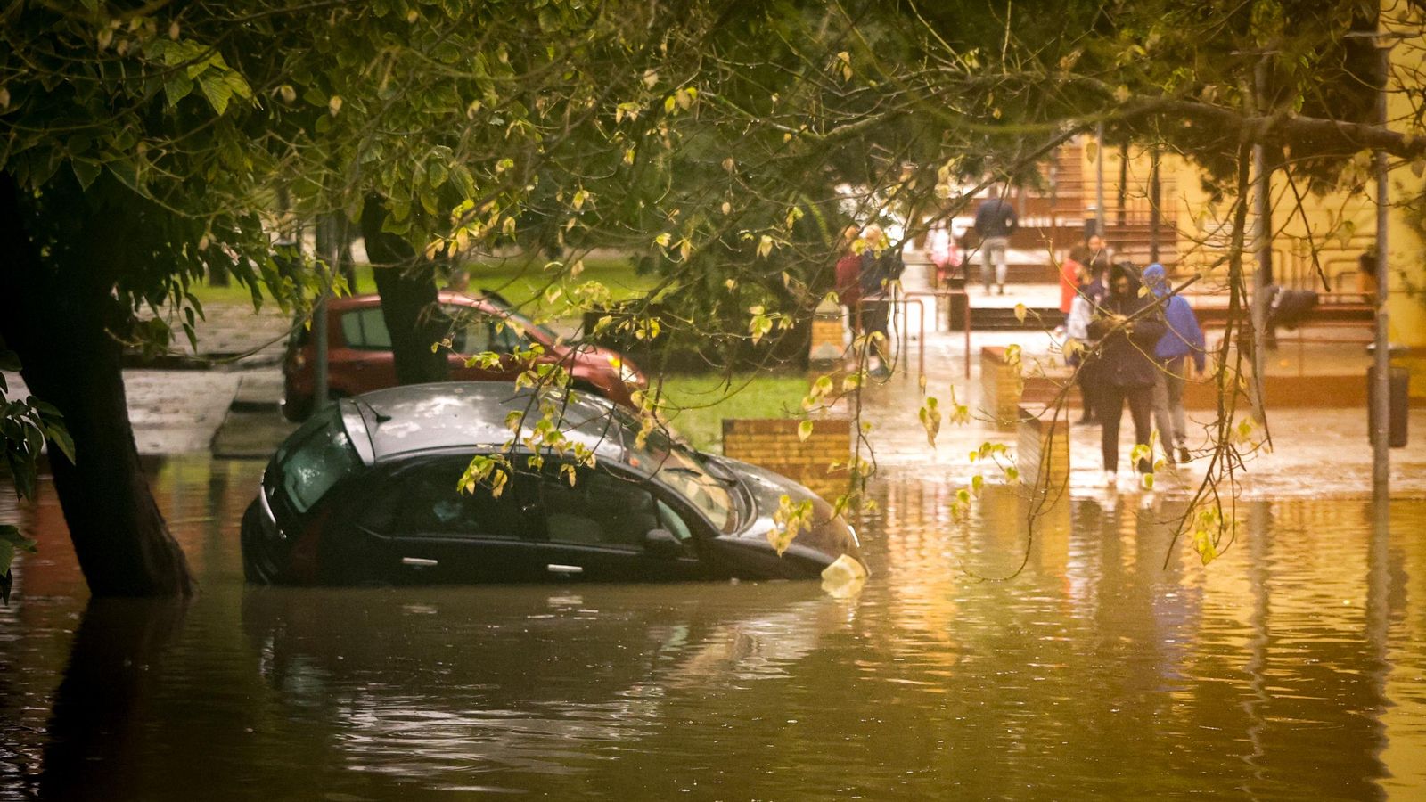 Imágenes del paso de la Dana, inundaciones, destrozos y caos por todo Jerez