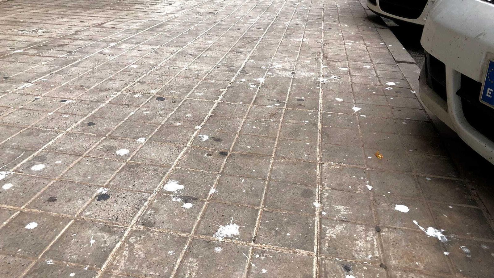 El suelo lleno de excrementos de gaviotas en la Autovía del Aeropuerto de la capital.