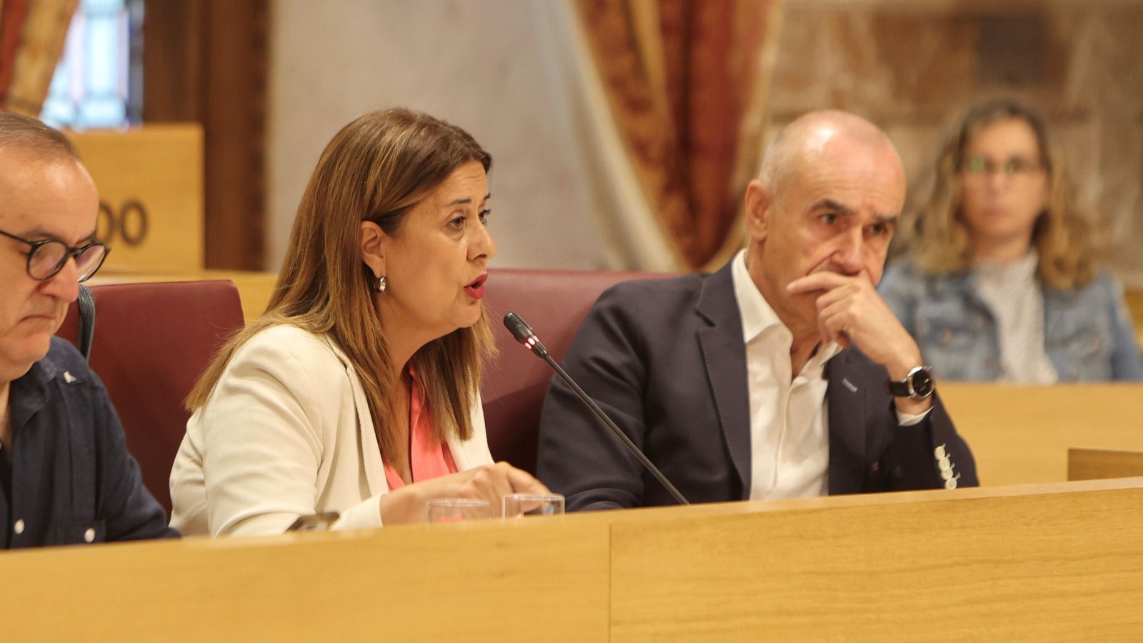 Gaya interviene en el Pleno flanqueada por Páez y Muñoz.