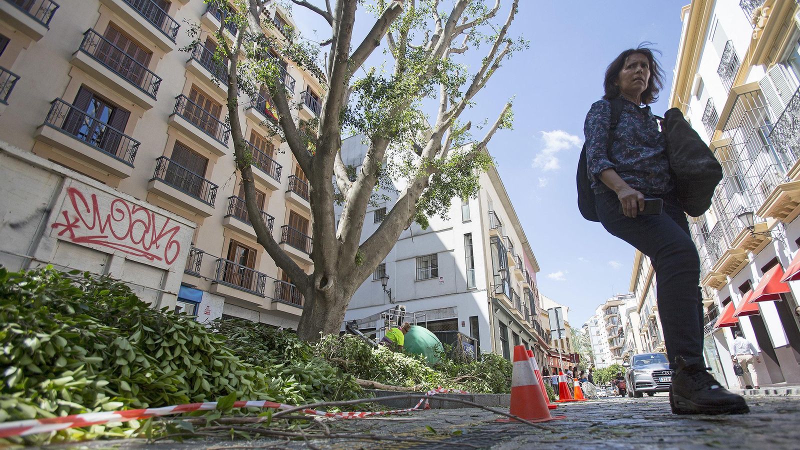 Una mujer camina por la calzada debido a que el acerado se encuentra repleto de ramas.