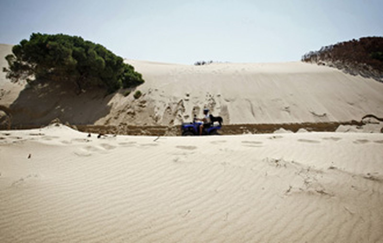 Verdemar rechaza el traslado de arena de la duna de Valdevaqueros a las playas de Algeciras