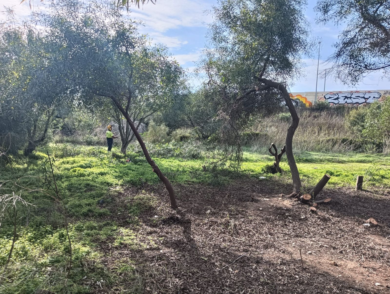 Trabajos en la calle Proa de la barriada Río San Pedro
