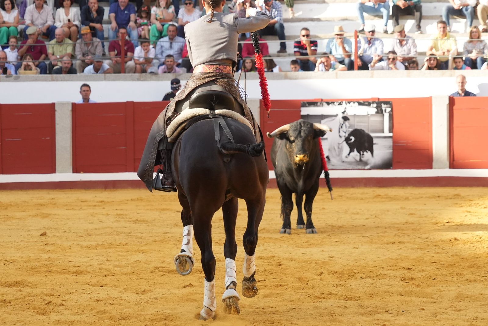 El triunfo del rejoneador Guillermo Hermoso de Mendoza en Pozoblanco, en imágenes