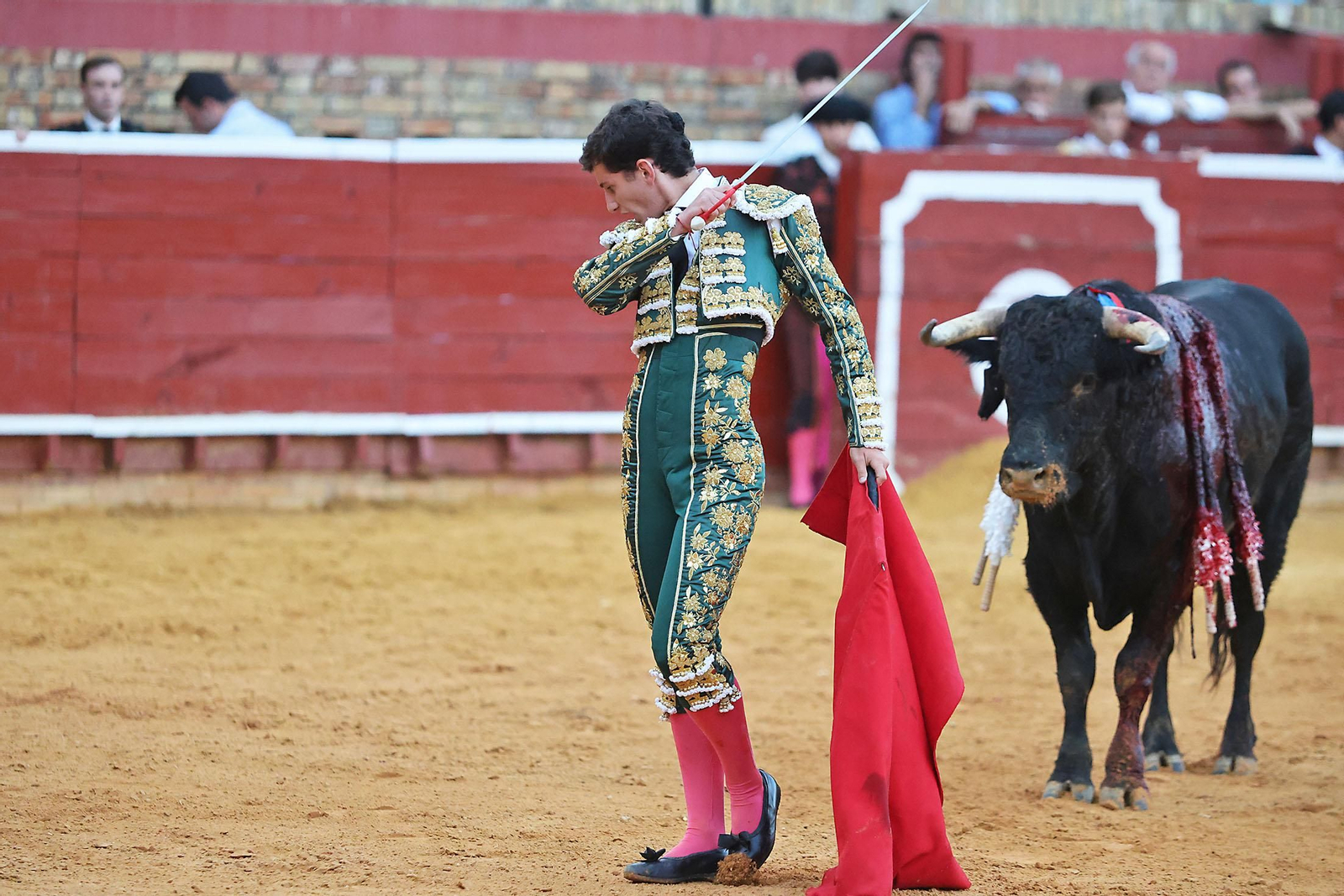 Toros La Merced 2024 Novillada con picadores(