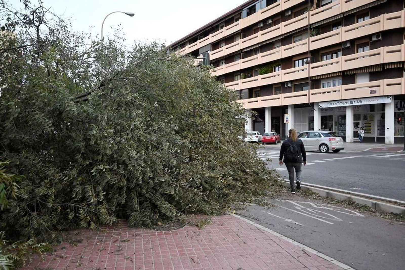 Un árbol caído en la acera impide el paso de los peatones en la avenida de las Ollerías de Córdoba. Un árbol caído en la acera impide el paso de los peatones en la avenida de las Ollerías de Córdoba.