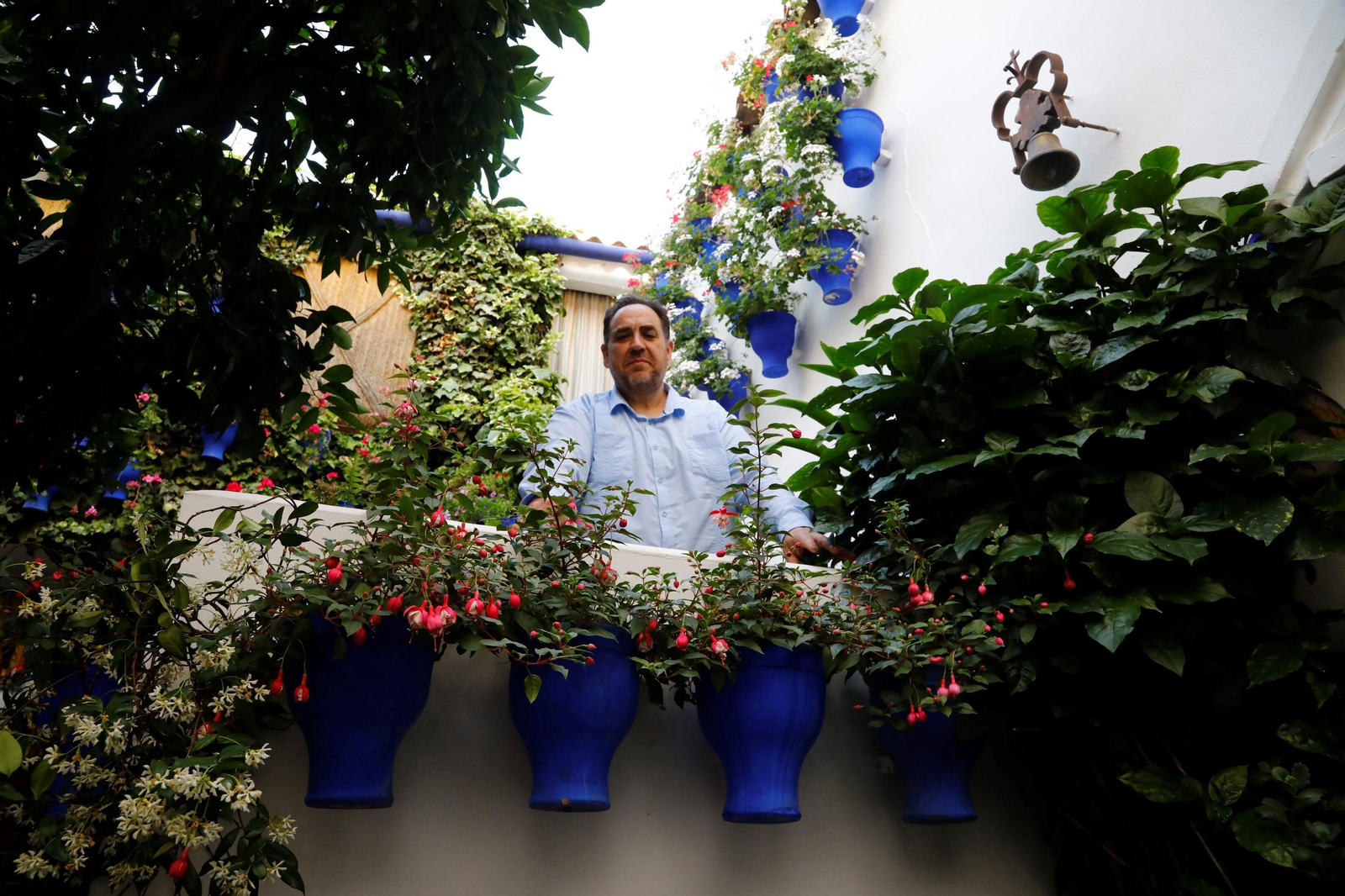 Los ganadores del Concurso de Patios de Córdoba 2023, en imágenes