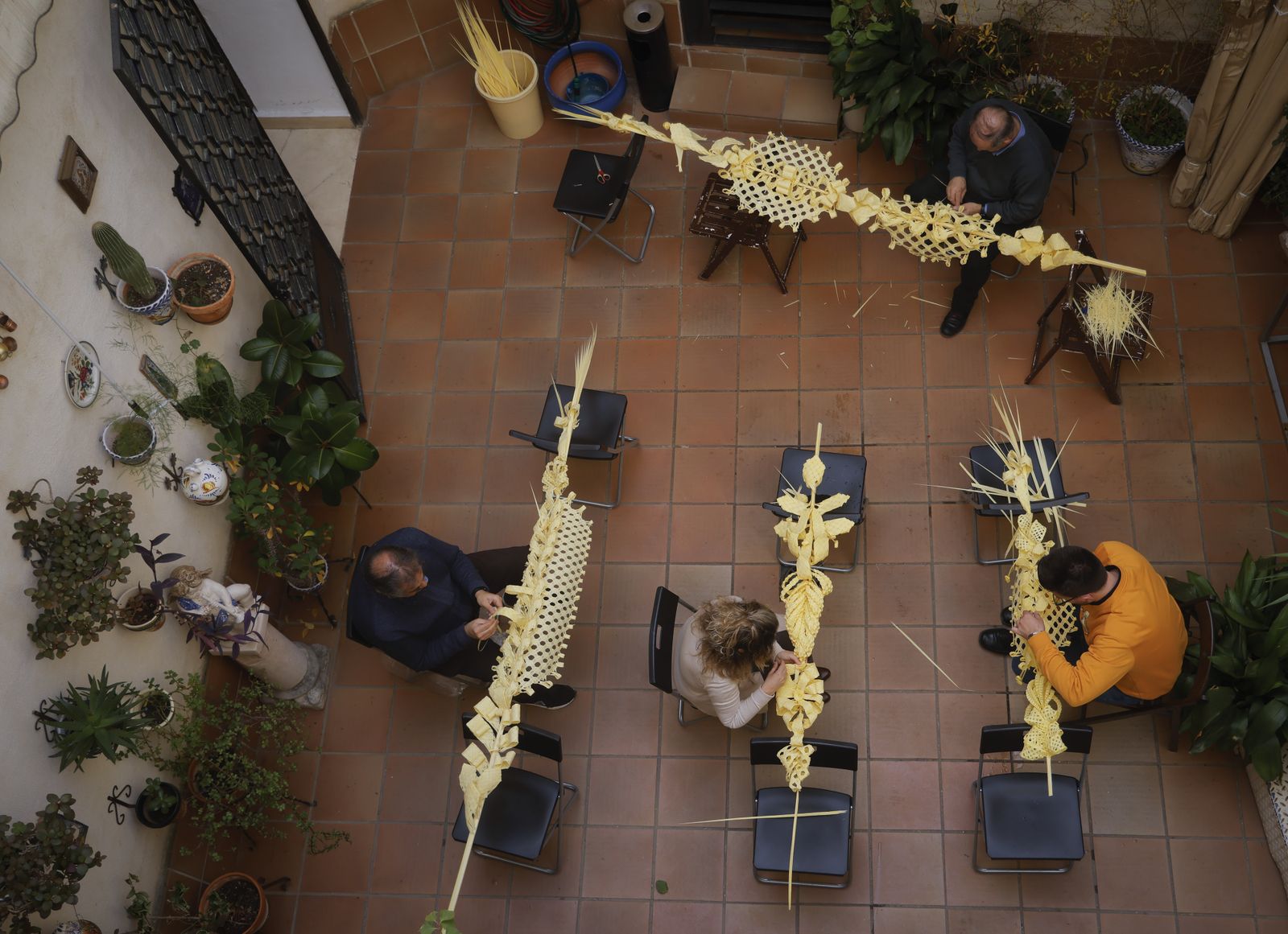 La elaboración de palmas rizadas en la Divina Pastora, todas las imágenes